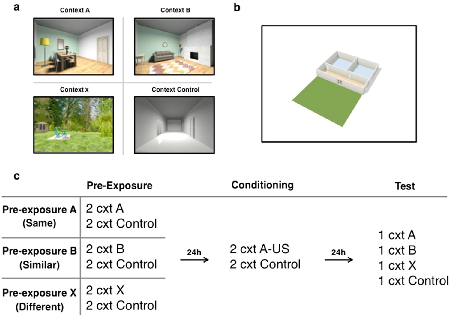 Prevention And Treatment Strategies For Contextual Overgeneralization Scientific Reports
