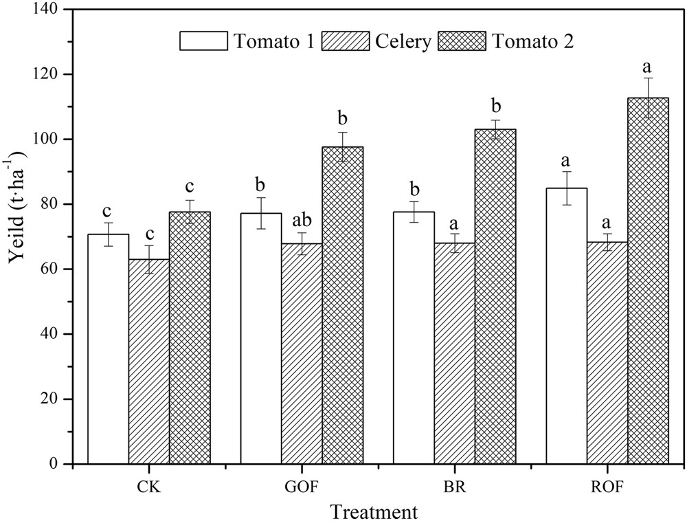 Tomato Plant Height Chart