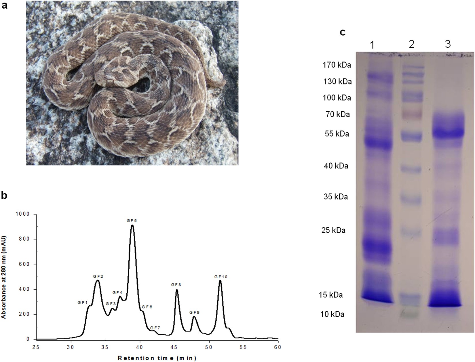 Snake Venom Toxicity Chart