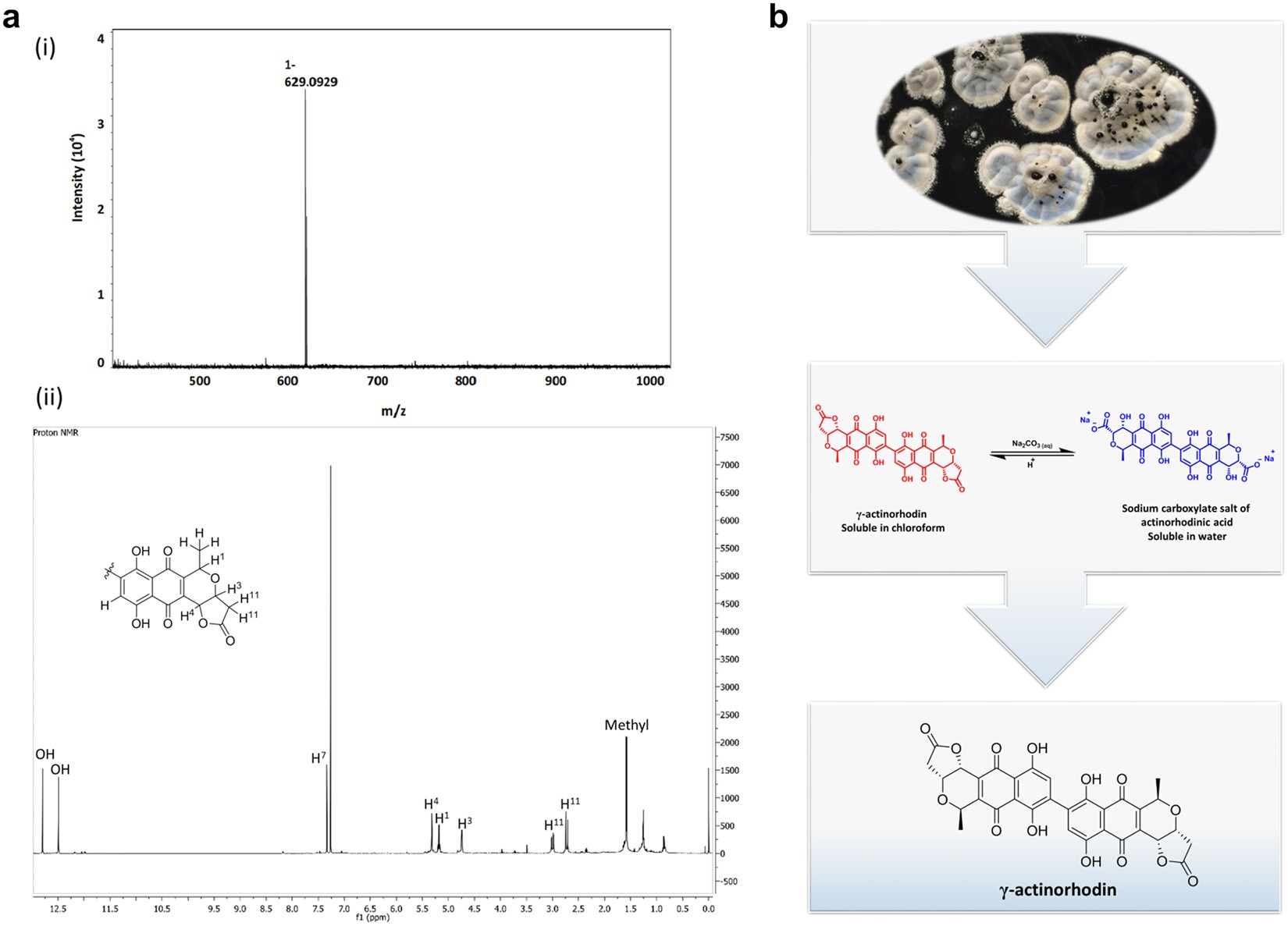 Antibiotic Potency Chart