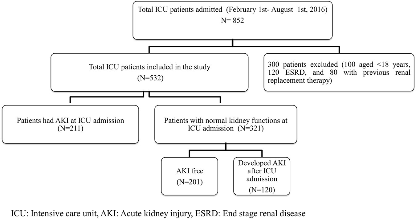 Ficus transplantation and peculiarities of care during the period of intensive growth Ficus transplantation and peculiarities of care during the period of intensive growth
