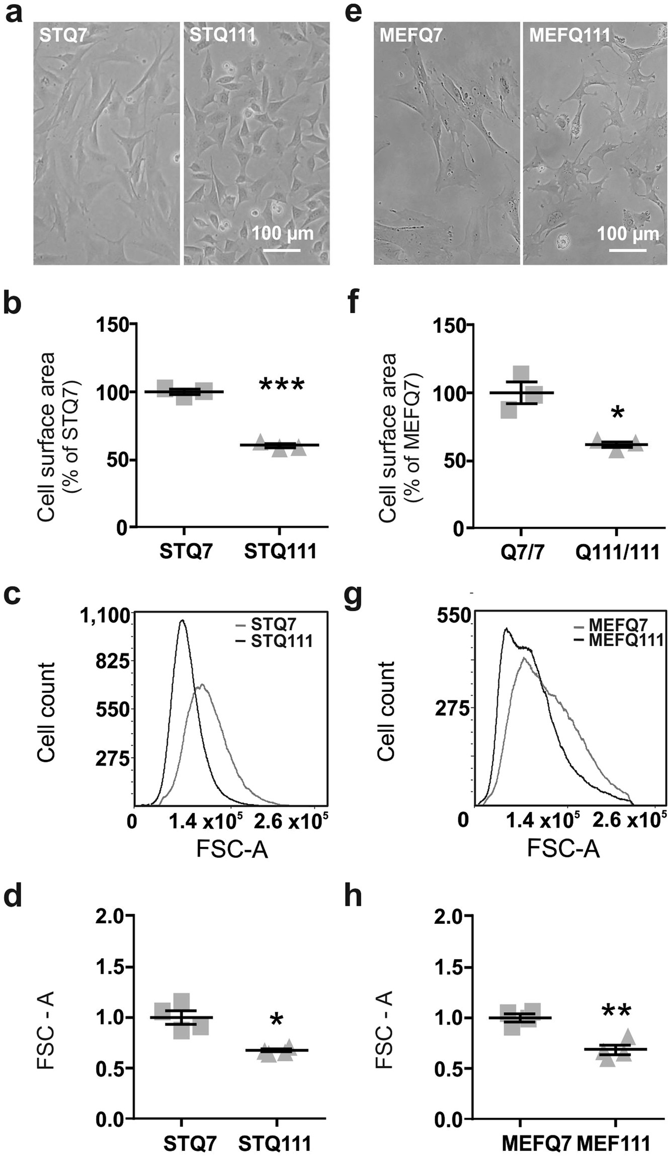 Reduced Cell Size Chromosomal Aberration And Altered