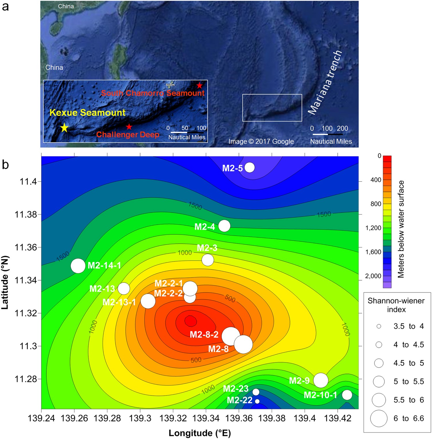 Bacterial community structure and novel species of magnetotactic bacteria  in sediments from a seamount in the Mariana volcanic arc | Scientific  Reports
