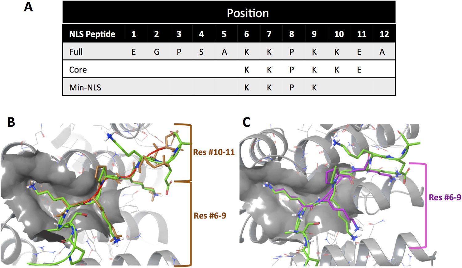 Novel inhibitors targeting Venezuelan equine encephalitis virus capsid  protein identified using In Silico Structure-Based-Drug-Design | Scientific  Reports