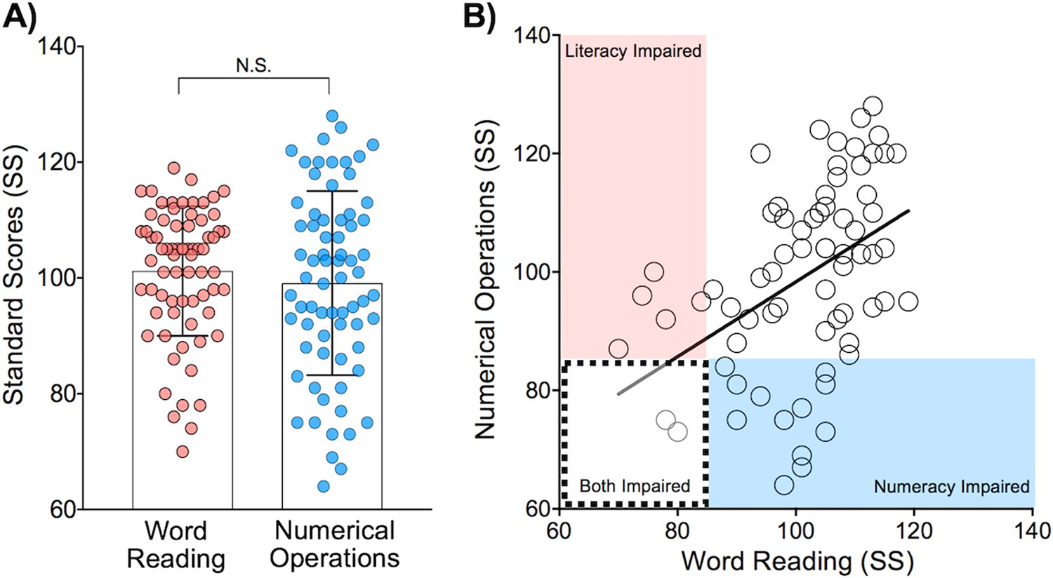 Differential contributions of the middle frontal gyrus functional