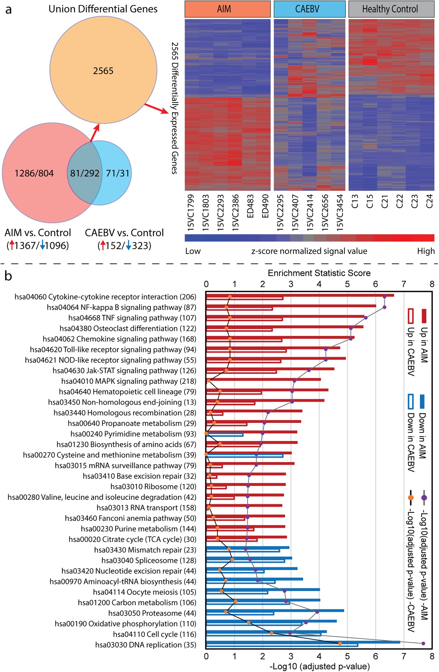 Whole transcriptome profiling reveals major cell types in the cellular  immune response against acute and chronic active Epstein-Barr virus  infection | Scientific Reports, image size:1500x2294