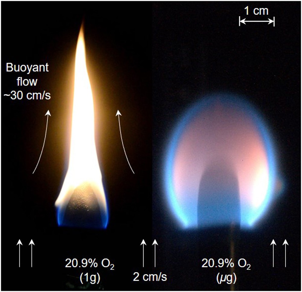 Limiting The Spread Of Fire Consists Of