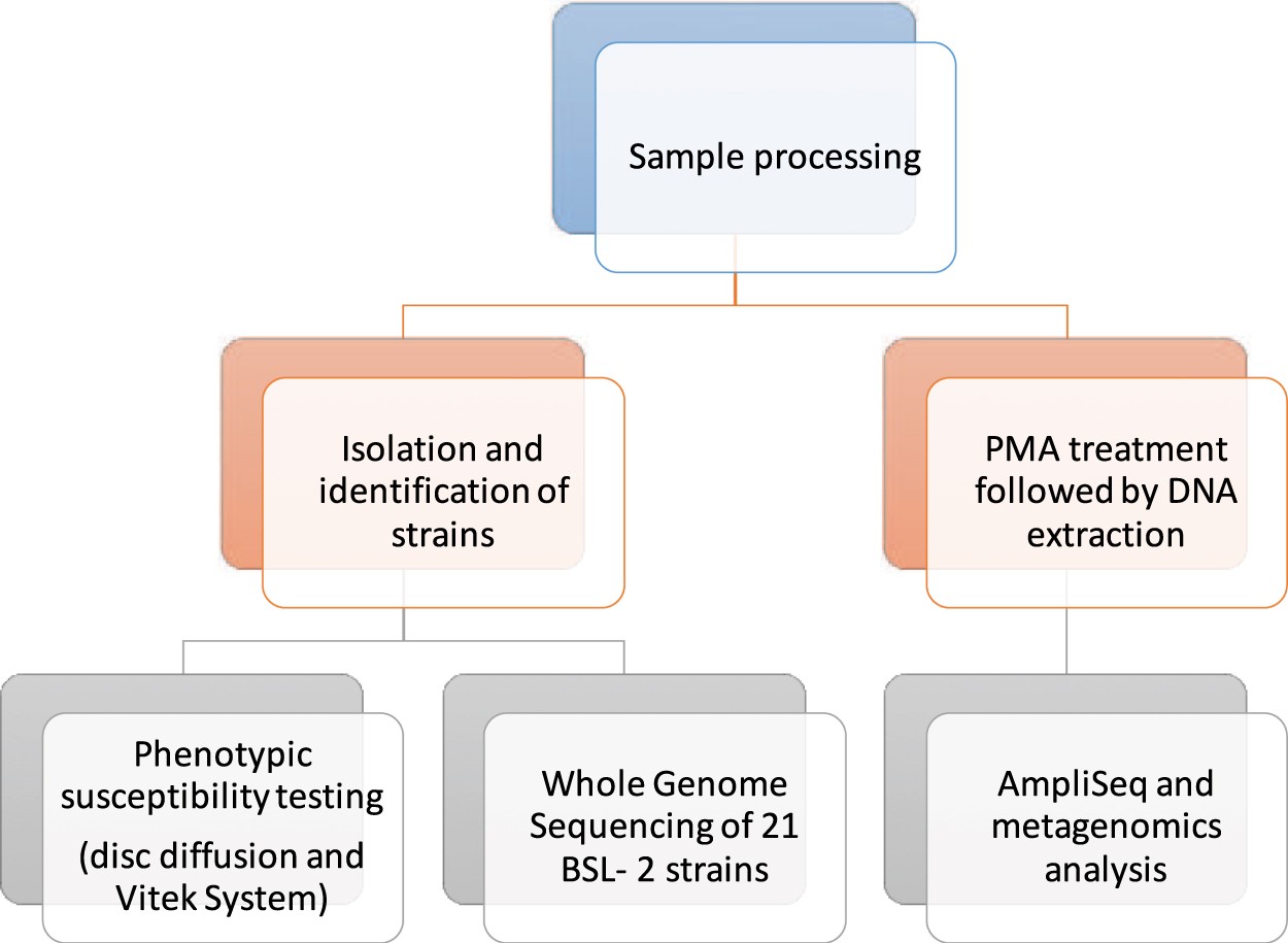 Antibiotic Sensitivity Interpretation Chart