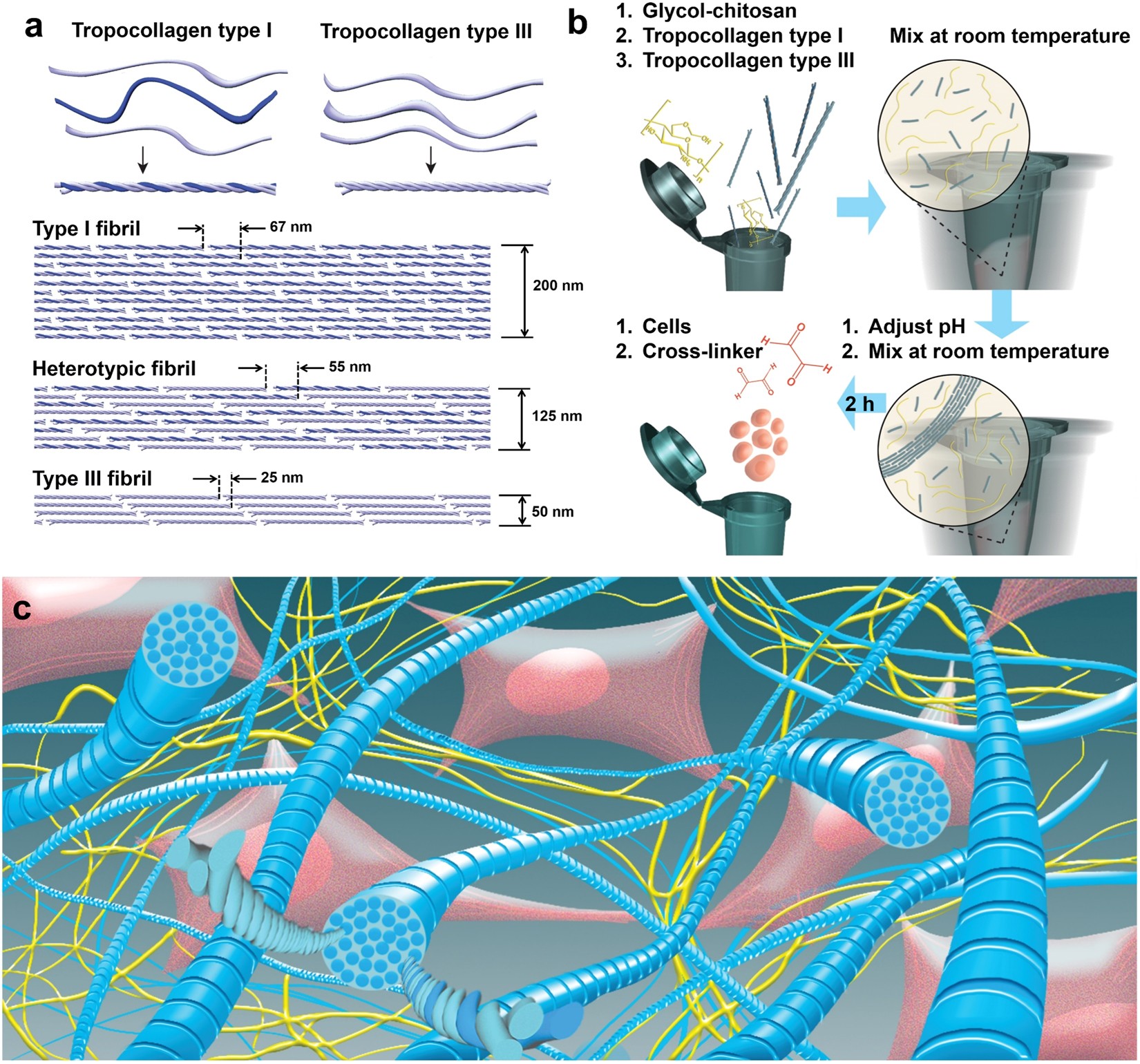 A tissue-mimetic nano-fibrillar hybrid injectable hydrogel for potential  soft tissue engineering applications | Scientific Reports