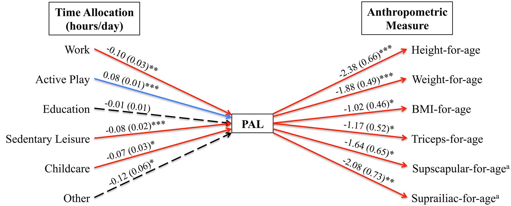 Evidence For Energetic Tradeoffs Between Physical Activity - 