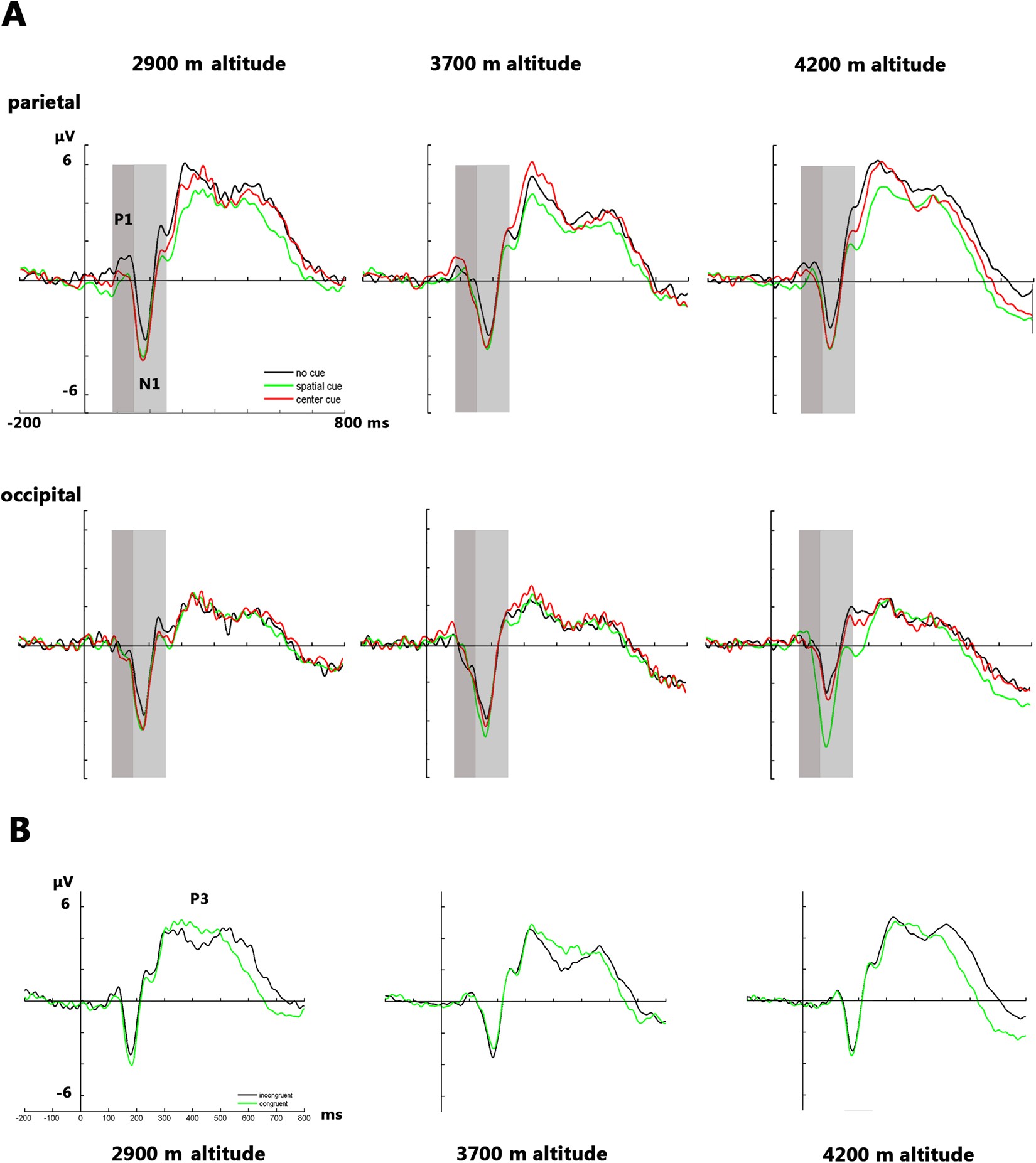 Study Little Evidence That Executive >> Competition Among The Attentional Networks Due To Resource Study Little Evidence That Executive >> Competition Among The Attentional Networks Due To Resource