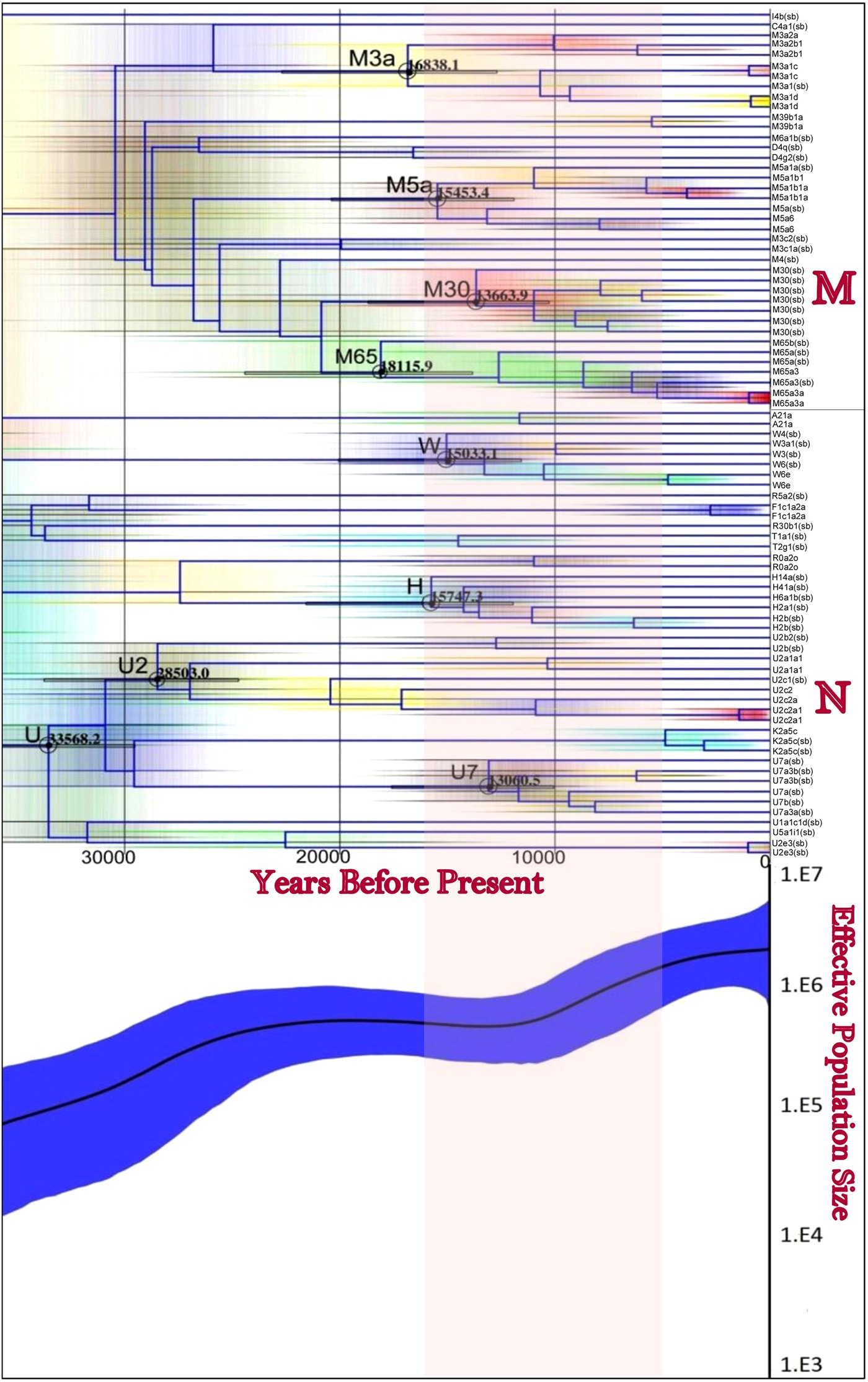 Ancient Human Migrations To And Through Jammu Kashmir India