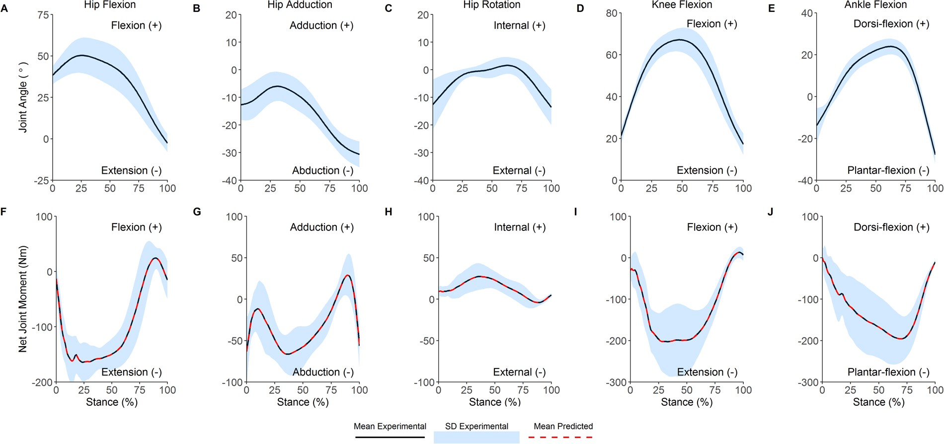 The effects of core stabilization exercises on the neuromuscular function  of athletes with ACL reconstruction