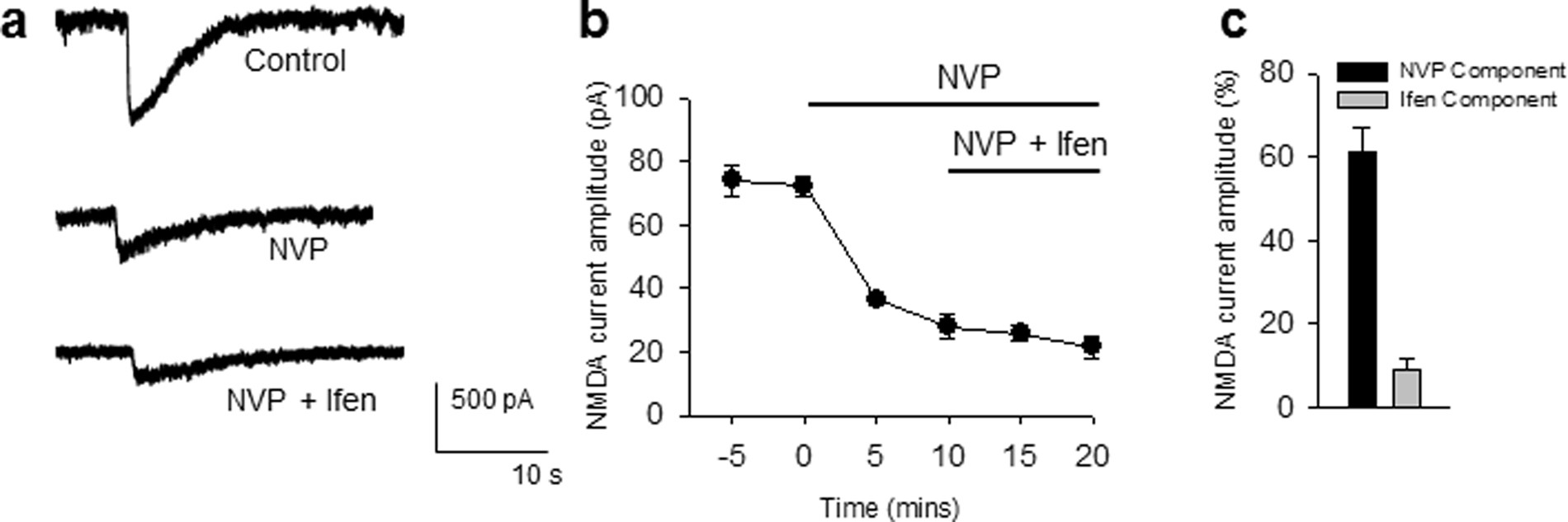 The GluN2A Subunit Regulates Neuronal NMDA receptor-Induced Microglia-Neuron Physical Interactions | Scientific Reports