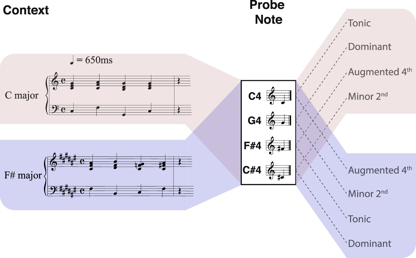 Understanding Music Of Neural >> Decoding The Dynamic Representation Of Musical Pitch From Understanding Music Of Neural >> Decoding The Dynamic Representation Of Musical Pitch From