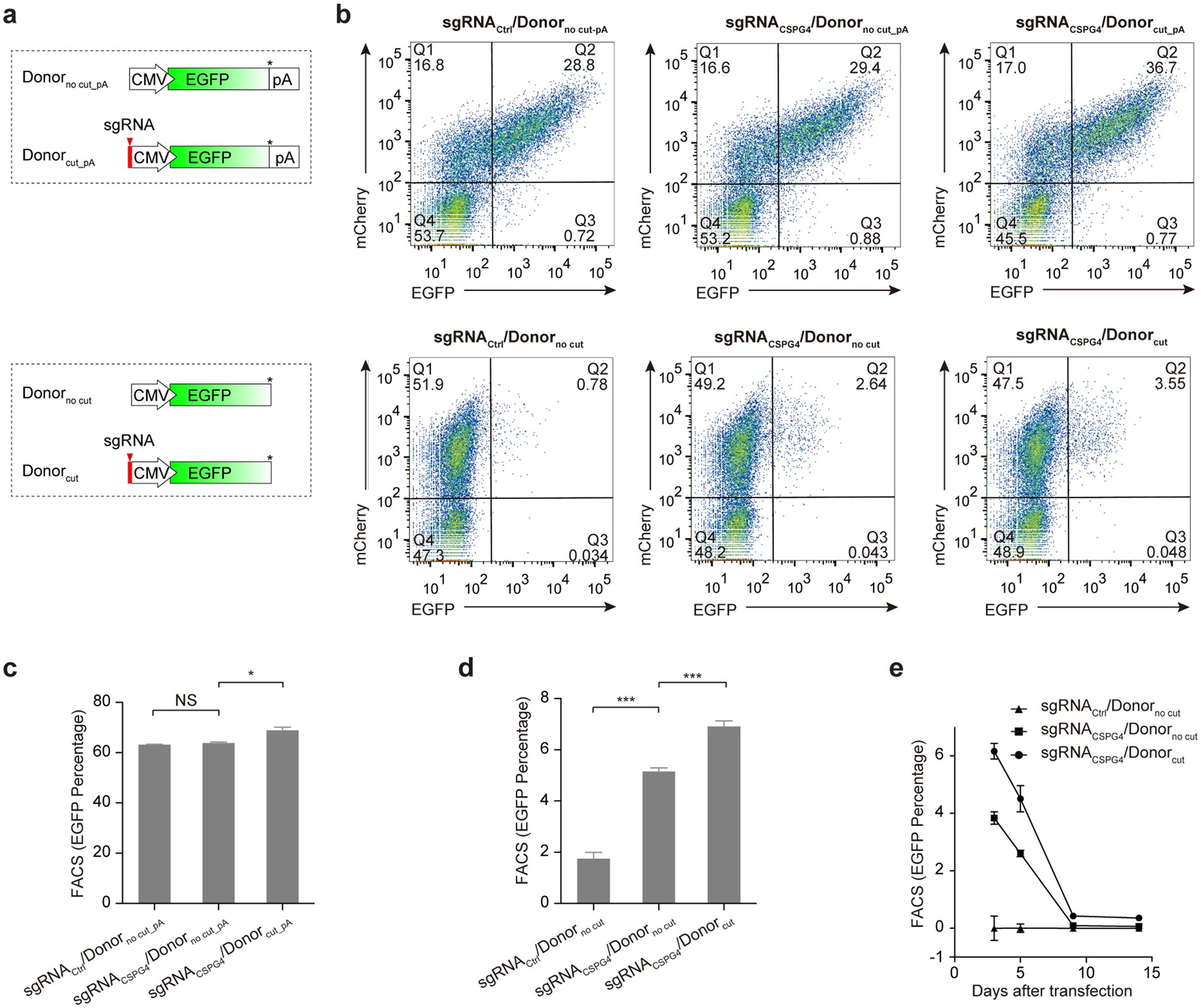 A Surrogate Reporter System For Multiplexable Evaluation Of Crispr - a surrogate reporter system for multiplexable evaluation of crispr cas9 in targeted mutagenesis scientific reports