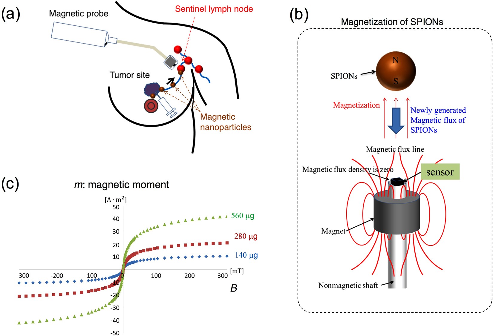 Handheld magnetic probe with permanent magnet and Hall sensor for  identifying sentinel lymph nodes in breast cancer patients | Scientific  Reports