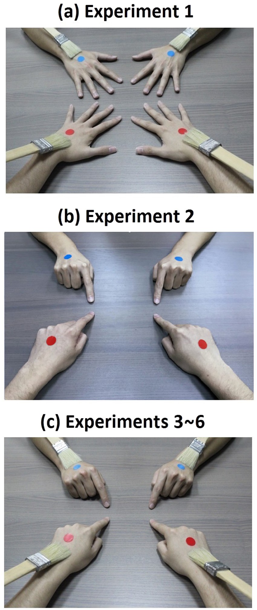 Hand cooling from illusion not linked to change in body ownership