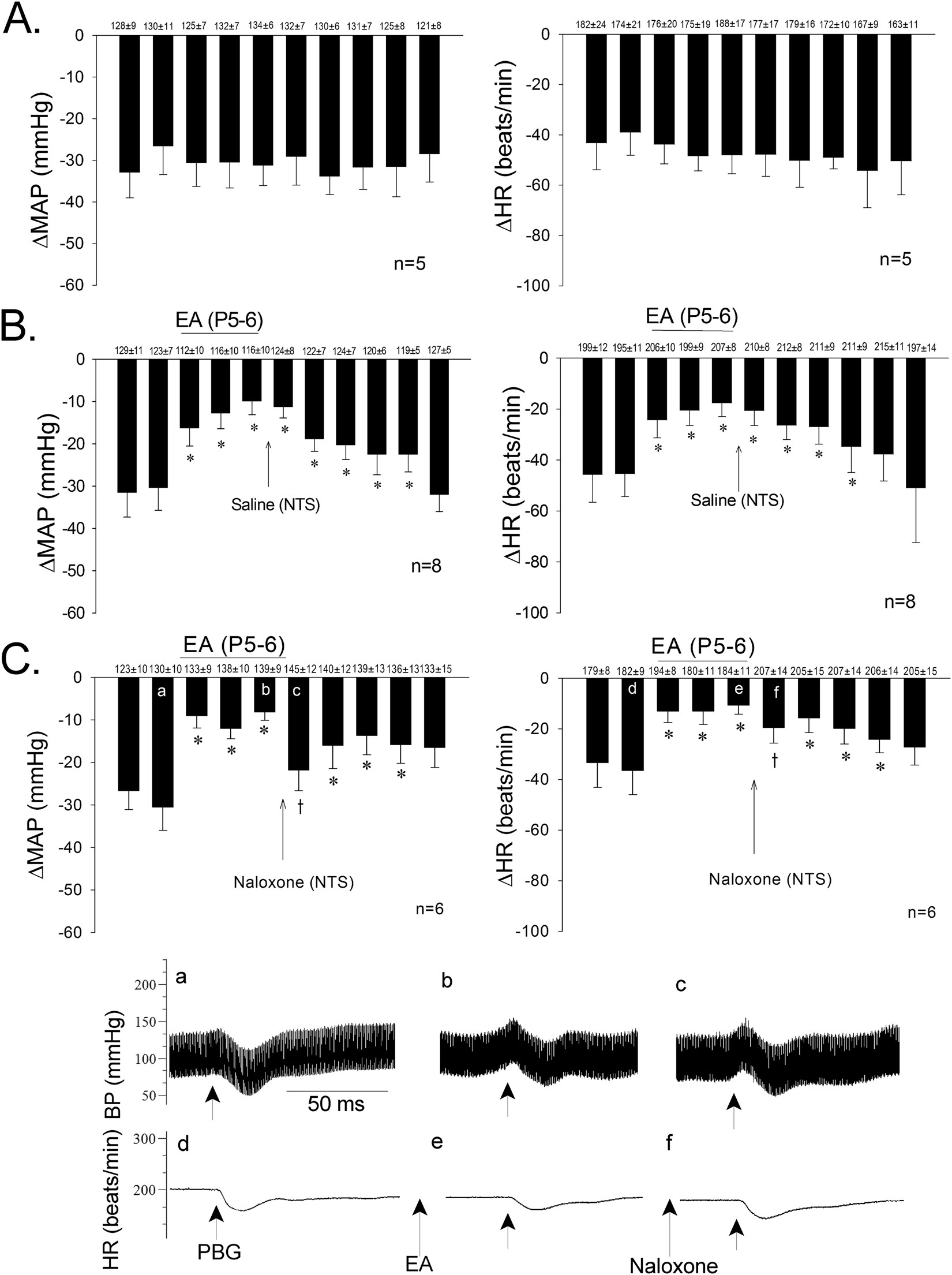 Modulation Of Neurally Mediated Vasodepression And Bradycardia By Modulation Of Neurally Mediated Vasodepression And Bradycardia By Electroacupuncture Through Opioids In Nucleus Tractus Solitarius Scientific Reports