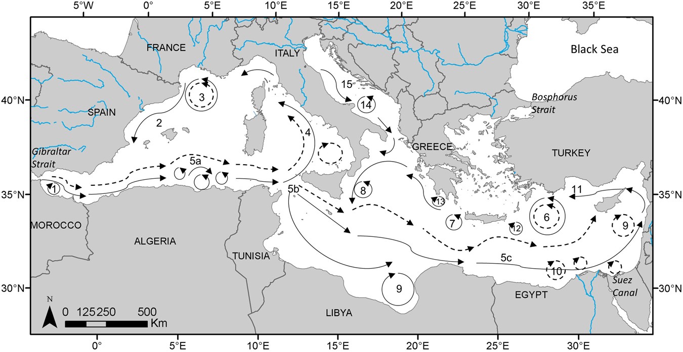 Map of the Mediterranean Sea indicating the sampled localities, coded