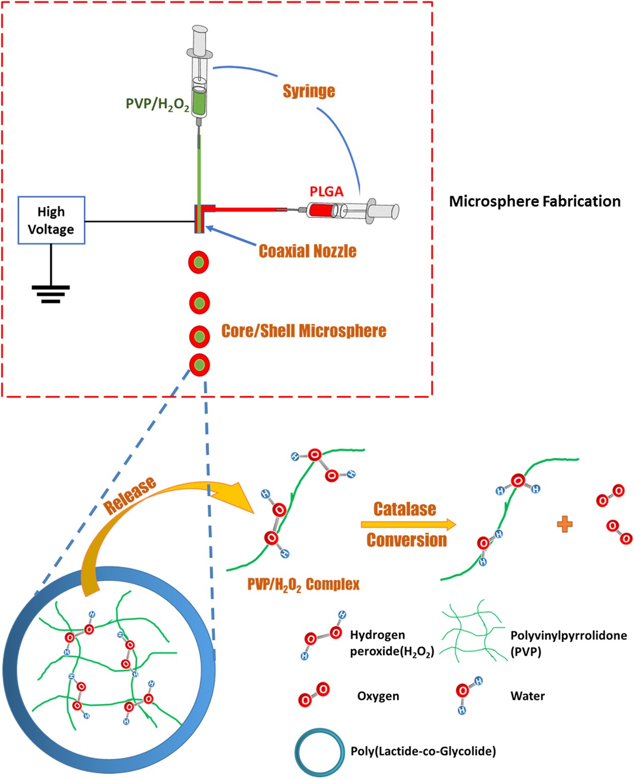 An Injectable Oxygen Release System to Augment Cell Survival and Promote  Cardiac Repair Following Myocardial Infarction | Scientific Reports