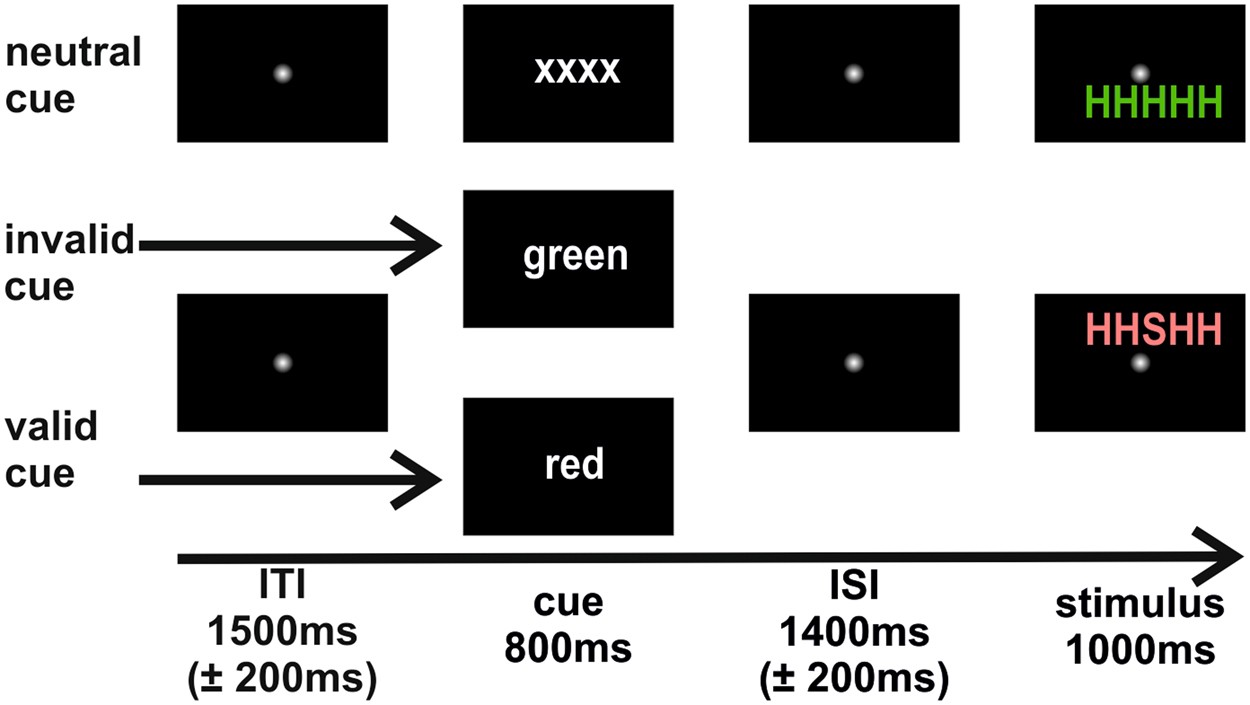 Examples of test stimuli with flanking features.