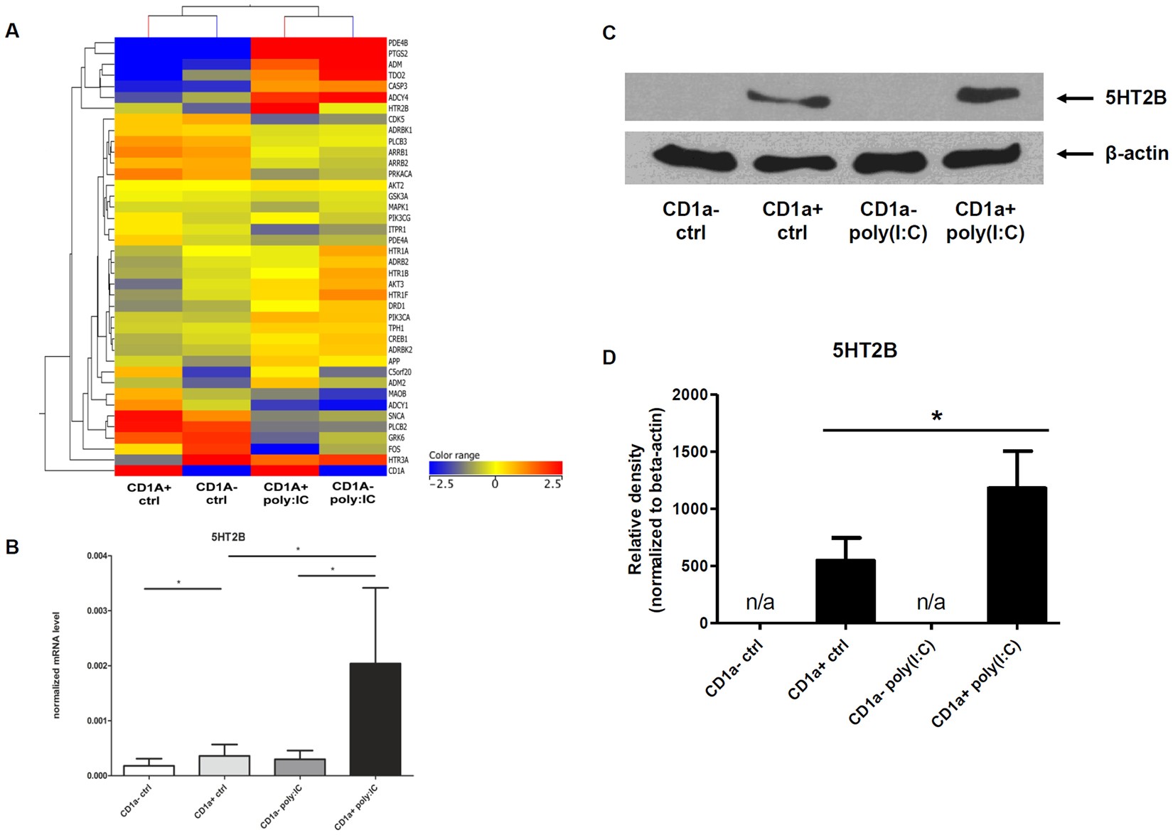 Immunomodulatory capacity of the serotonin receptor 5-HT2B in a subset of  human dendritic cells | Scientific Reports