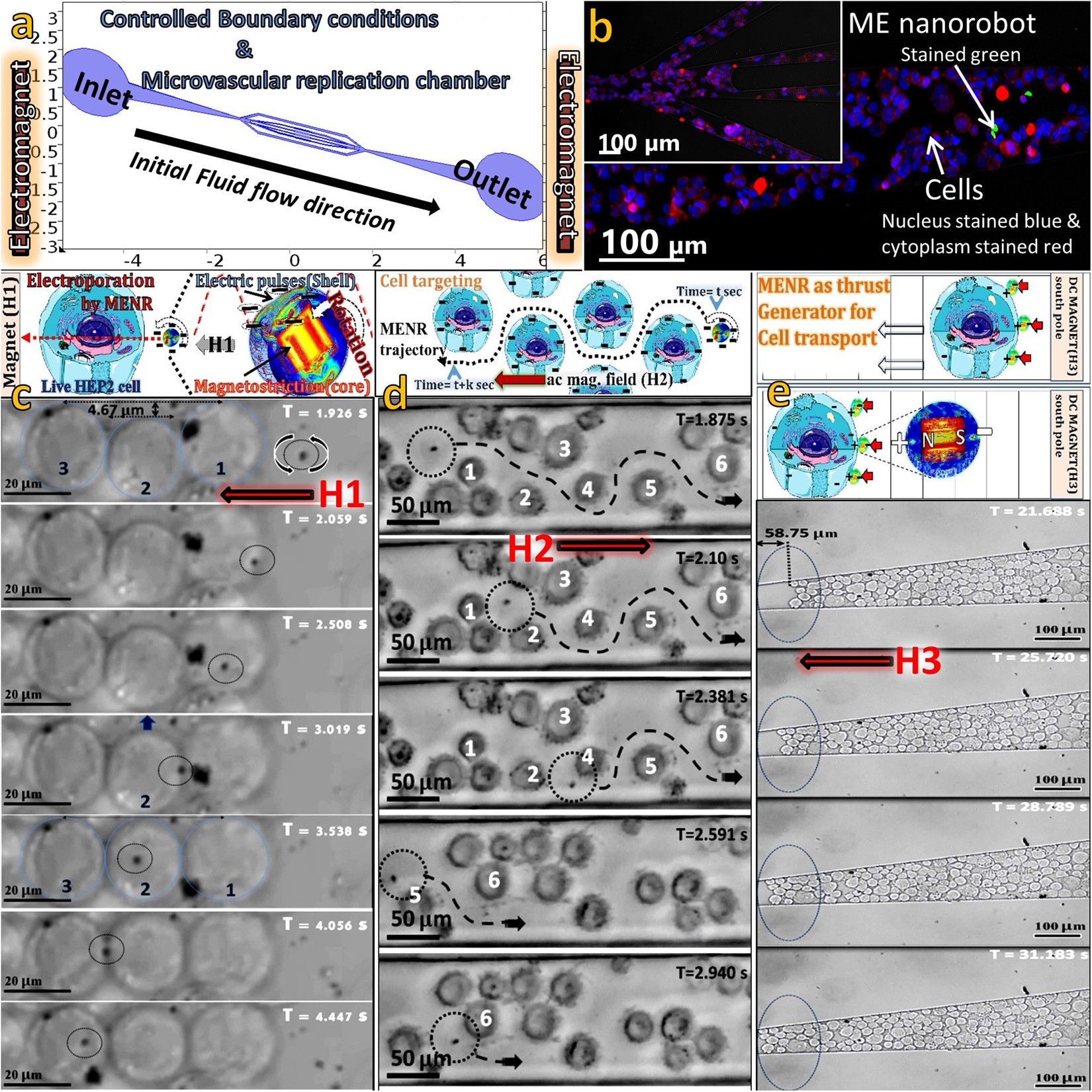 Magneto-elasto-electroporation (MEEP): In-vitro visualization and numerical  characteristics