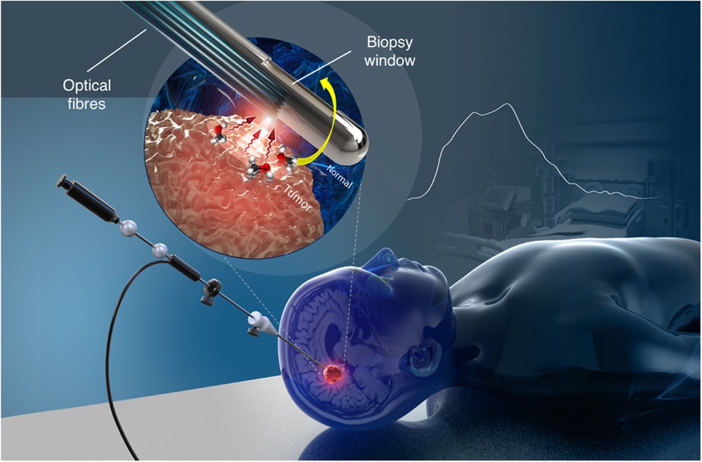 A New Method Using Raman Spectroscopy For In Vivo Targeted - 