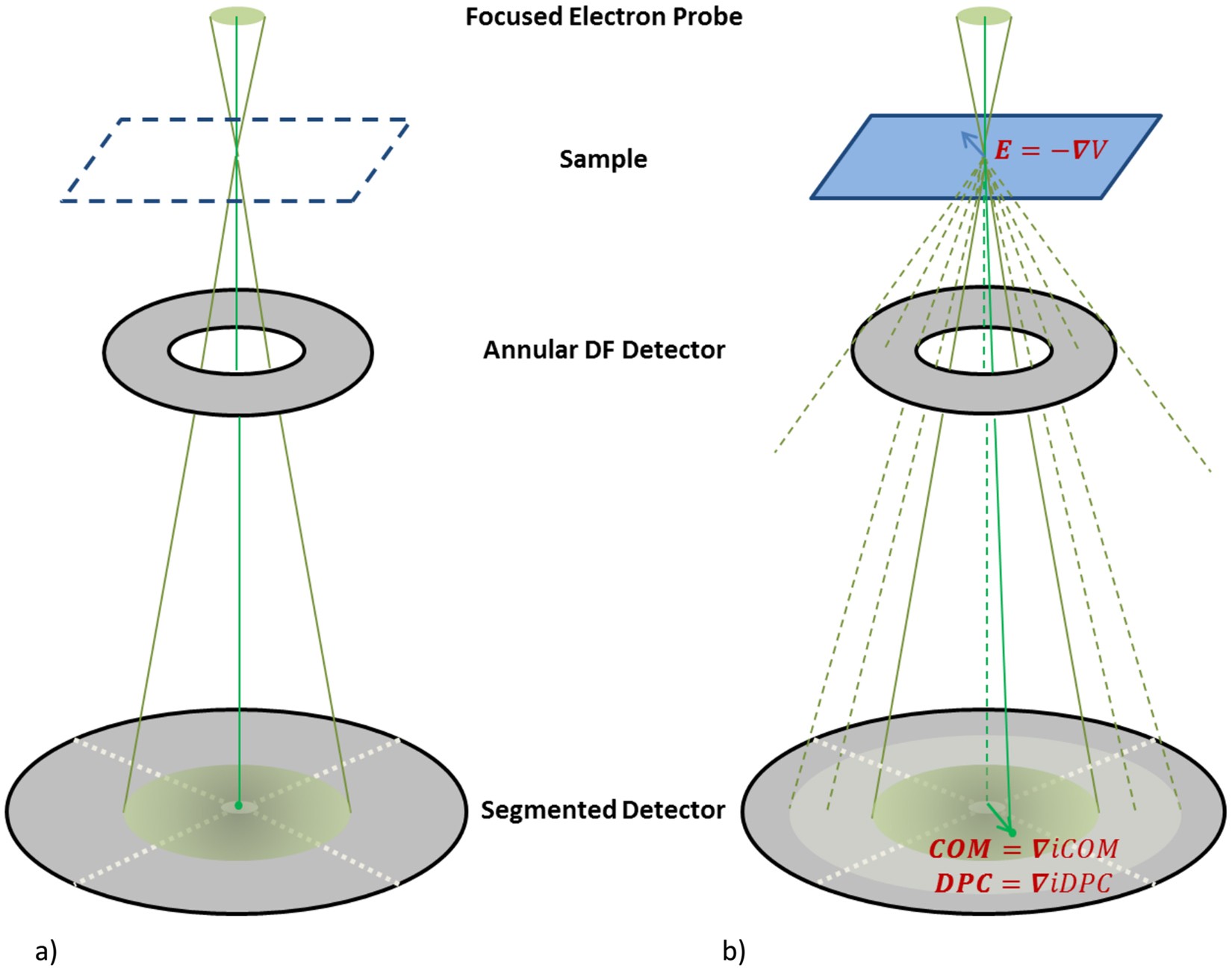 Phase contrast scanning transmission electron microscopy imaging of light  and heavy atoms at the limit of contrast and resolution | Scientific Reports