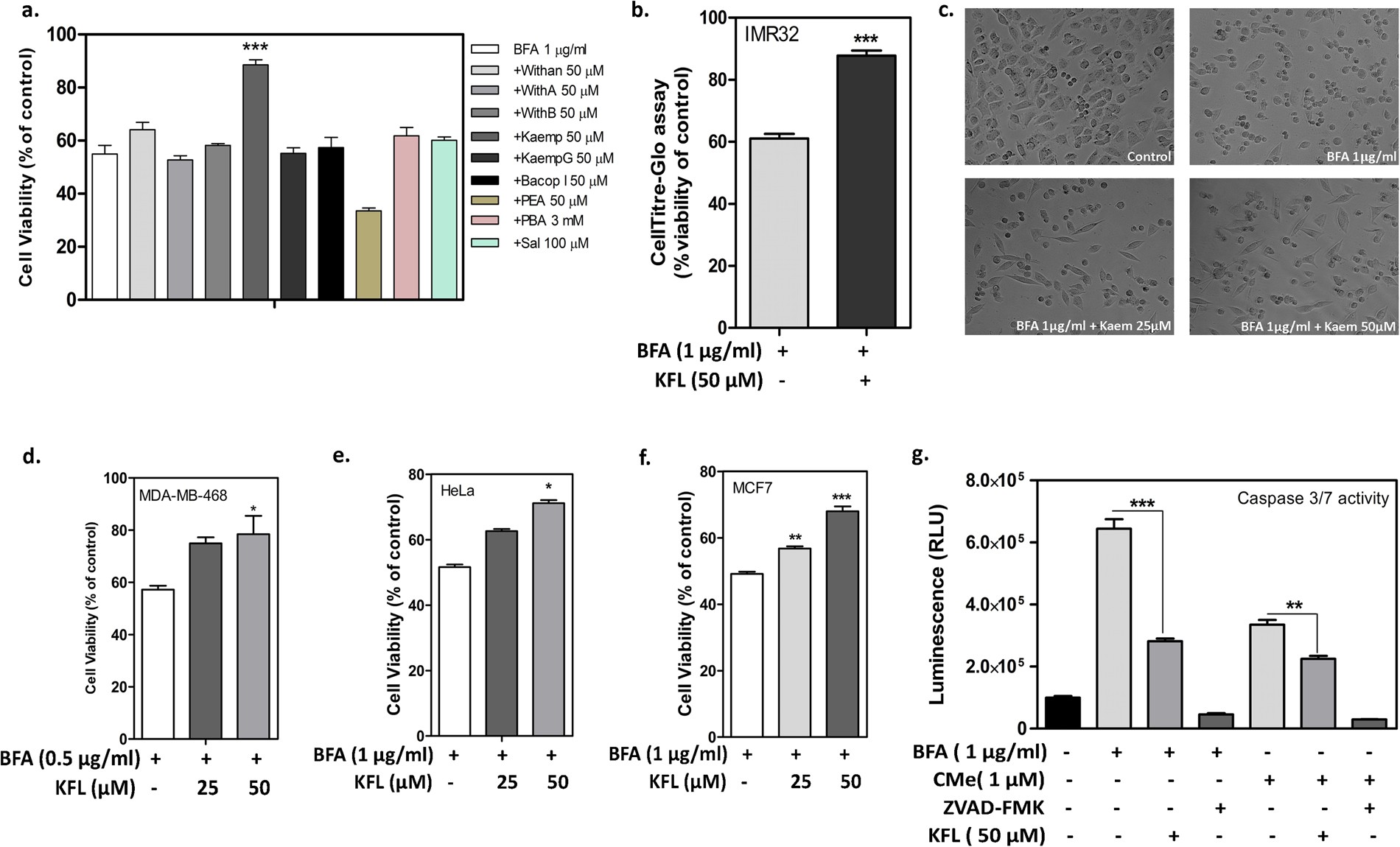 Kaempferol Mitigates Endoplasmic Reticulum Stress Induced Cell Kaempferol Mitigates Endoplasmic Reticulum Stress Induced Cell By Targeting Caspase 3 7 Scientific Reports
