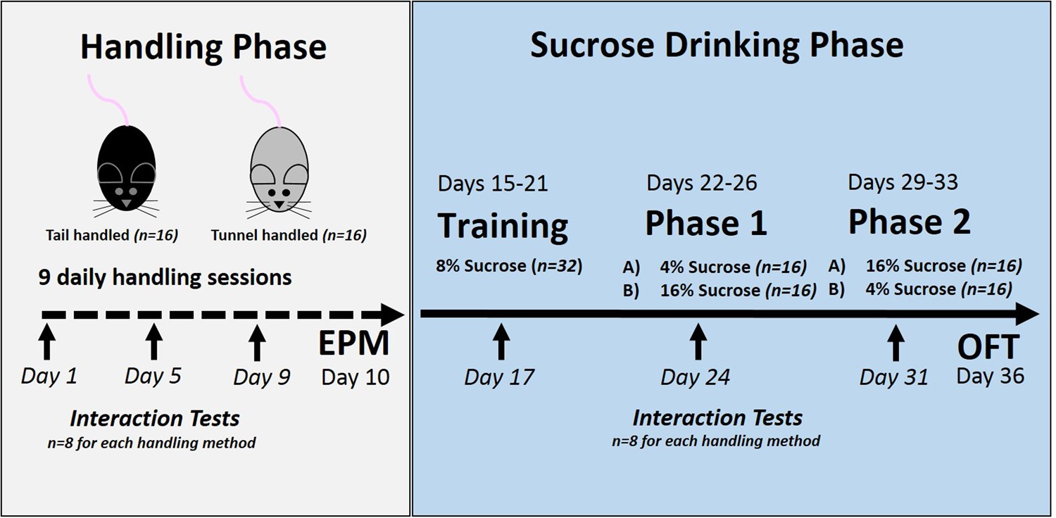 phases of training The second phase is a five-day field training exercise in which the students practice their survival and evasion skills by procuring food and water. phases of training The second phase is a five-day field training exercise in which the students practice their survival and evasion skills by procuring food and water.