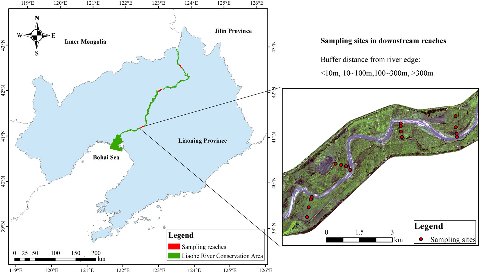 Effects of revetments on soil ecosystems in the urban river-riparian  interface - ScienceDirect