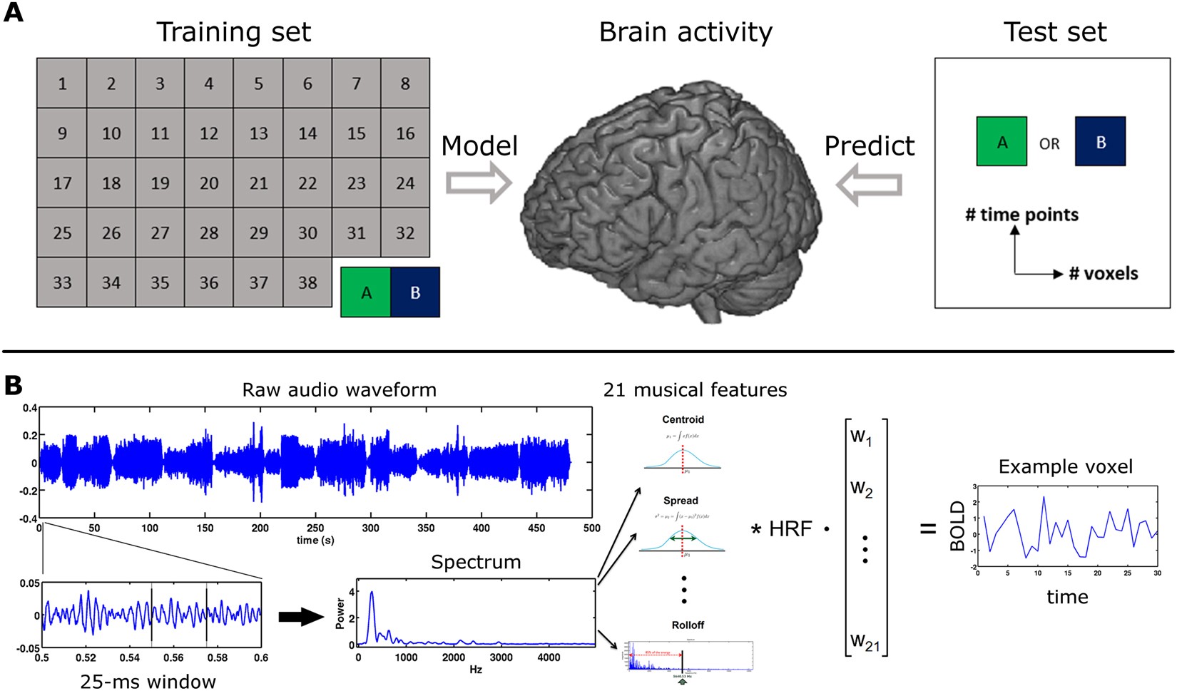 Encoding filter. Оцифровка мозга. encoding. cognitive map model braining activity.