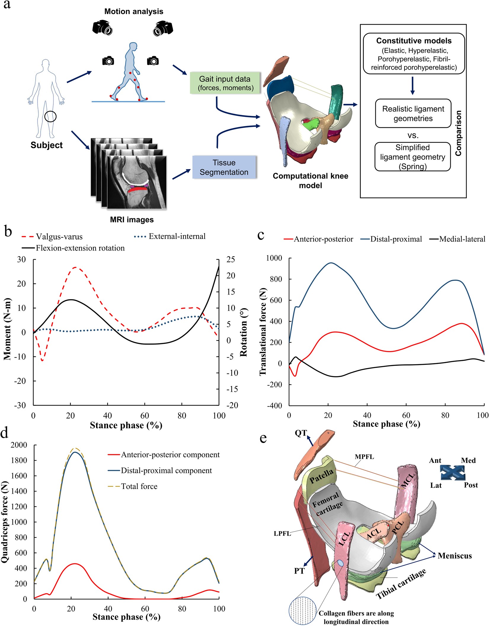 The effect of constitutive representations and structural constituents of  ligaments on knee joint mechanics | Scientific Reports