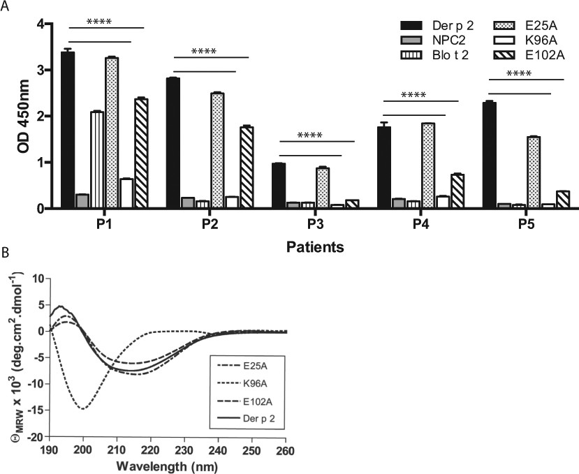 Conformational Ige Epitope Ming Of Der P 2 And The Evaluations Conformational Ige Epitope Ming Of Der P 2 And The Evaluations Two Candidate Hypoallergens For Immunotherapy Scientific Reports
