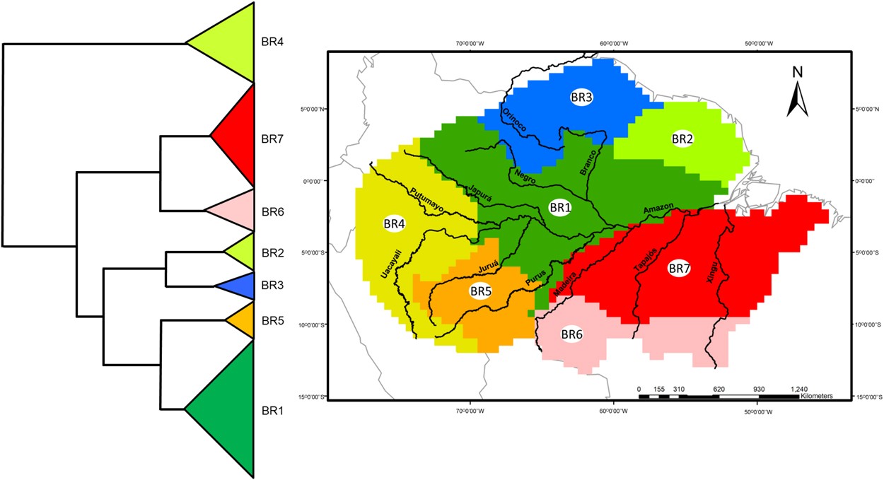 The influence of riverine barriers, climate, and topography on the  biogeographic regionalization of Amazonian anurans | Scientific Reports