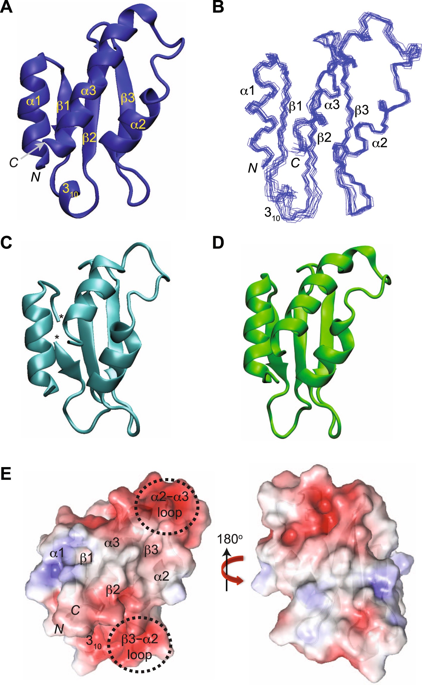 solution structure and dynamics