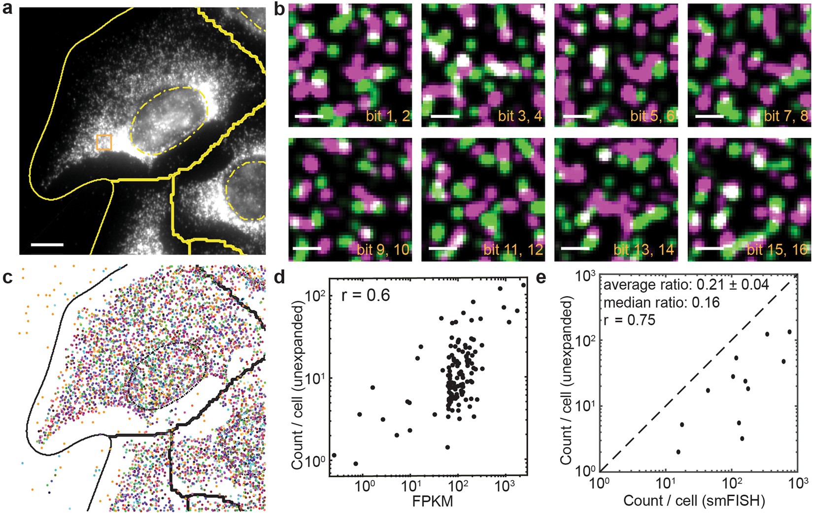Imaging Approaches Expand View Into >> Multiplexed Imaging Of High Density Libraries Of Rnas With Merfish Imaging Approaches Expand View Into >> Multiplexed Imaging Of High Density Libraries Of Rnas With Merfish