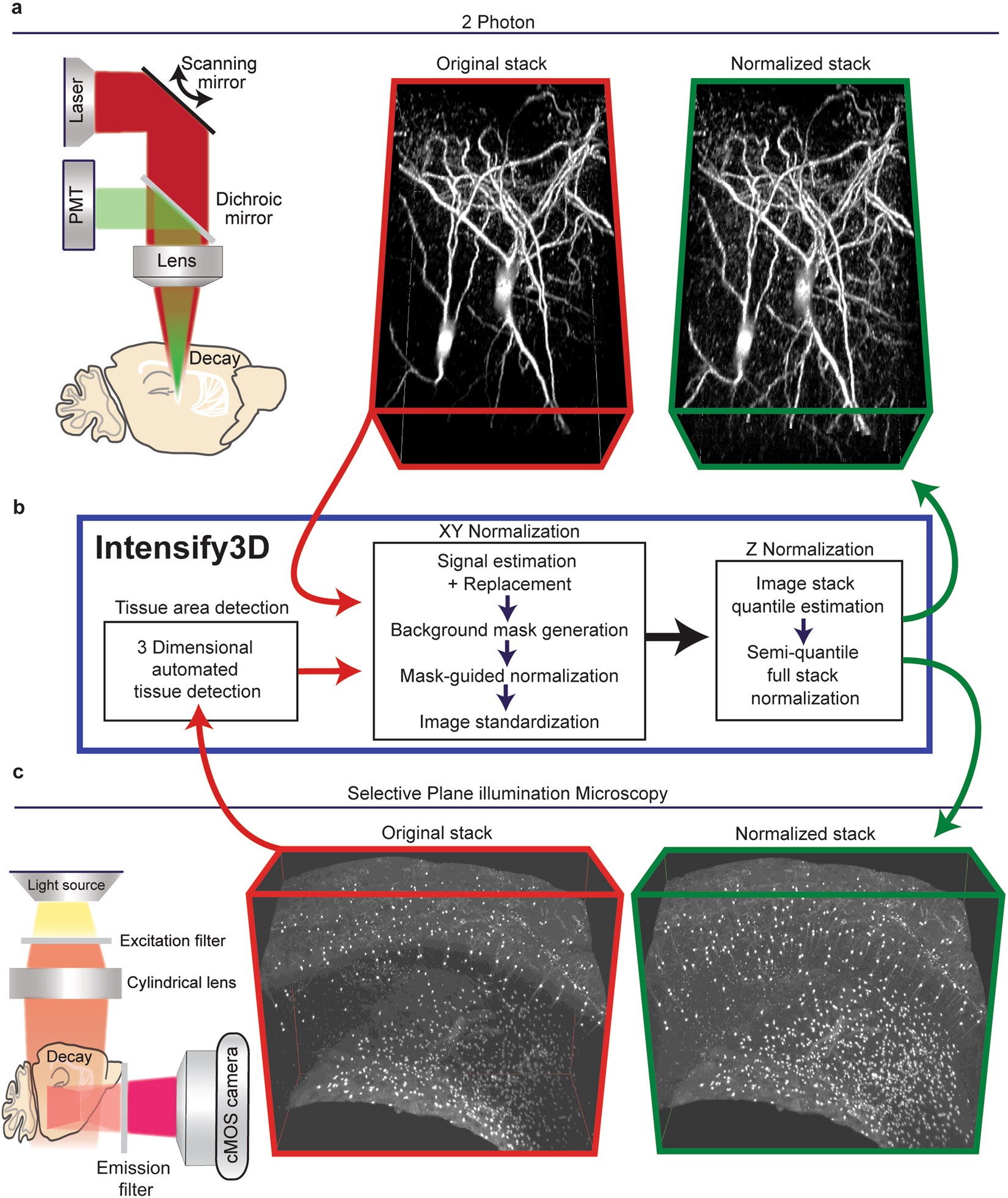 Intensify3d Normalizing Signal Intensity In Large