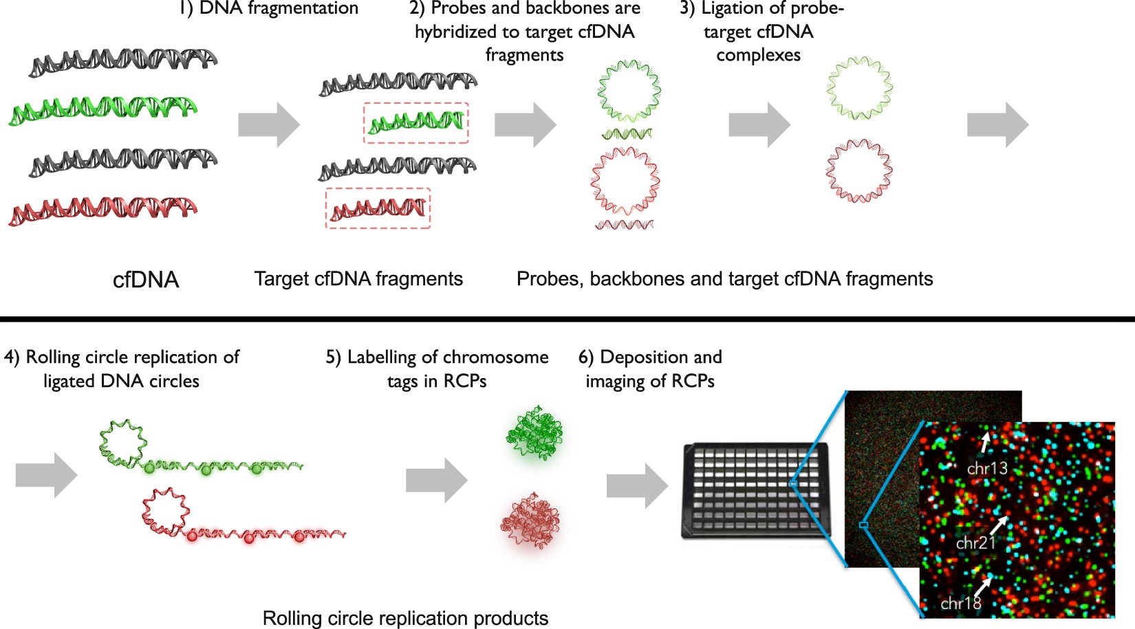 Scientific Reports - Imaging single DNA molecules for high precision NIPT.