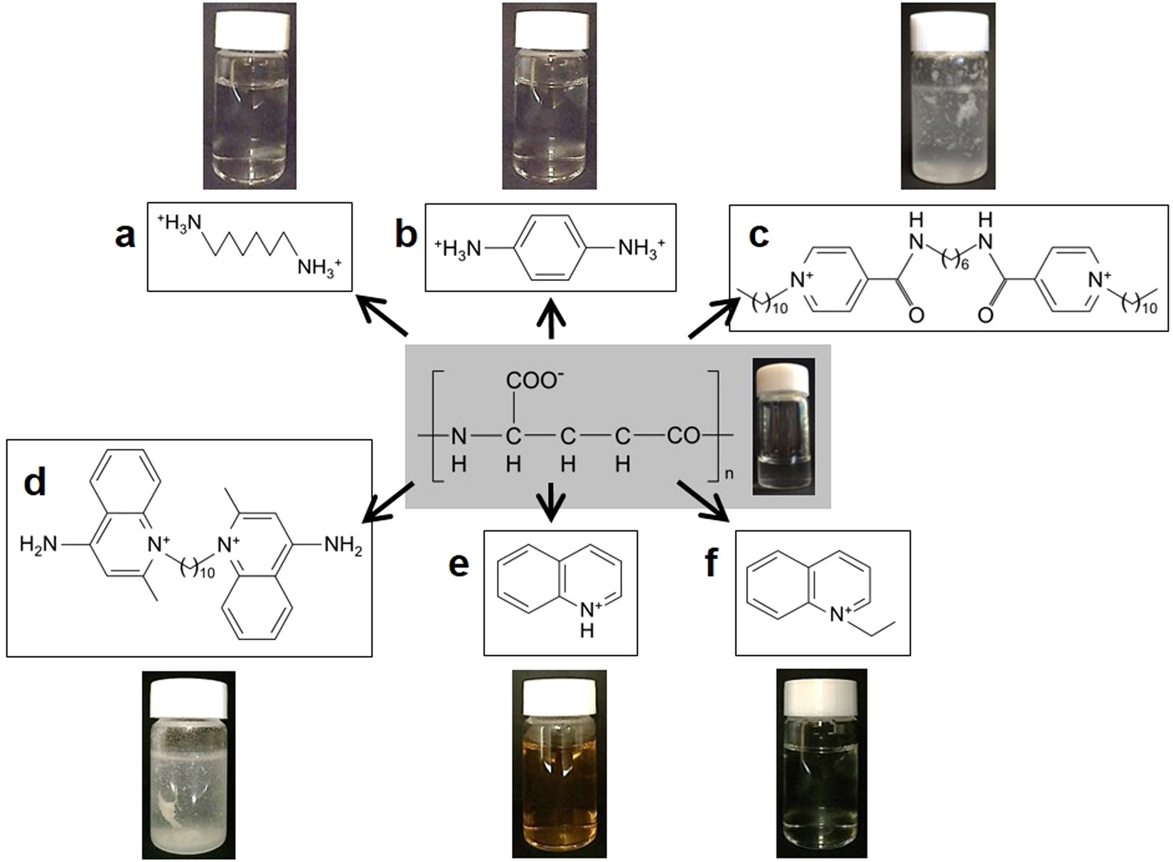 Engineering Antimicrobial Coating Of Archaeal Poly G Glutamate Based Materials Using Non Covalent Crosslinkages Scientific Reports