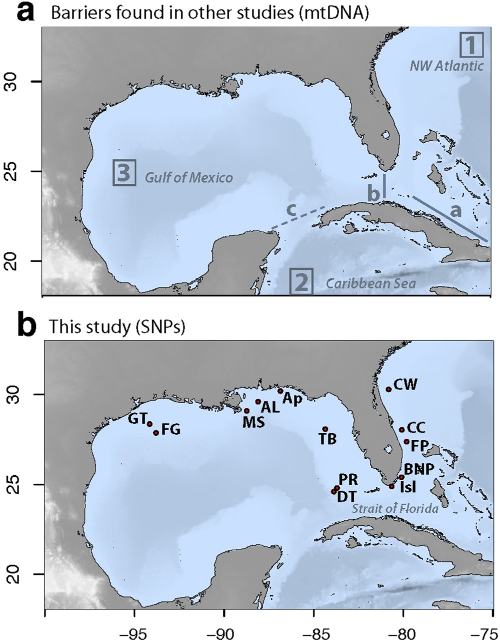 PDF) Mapping the spatial distribution of the invasive Mexican