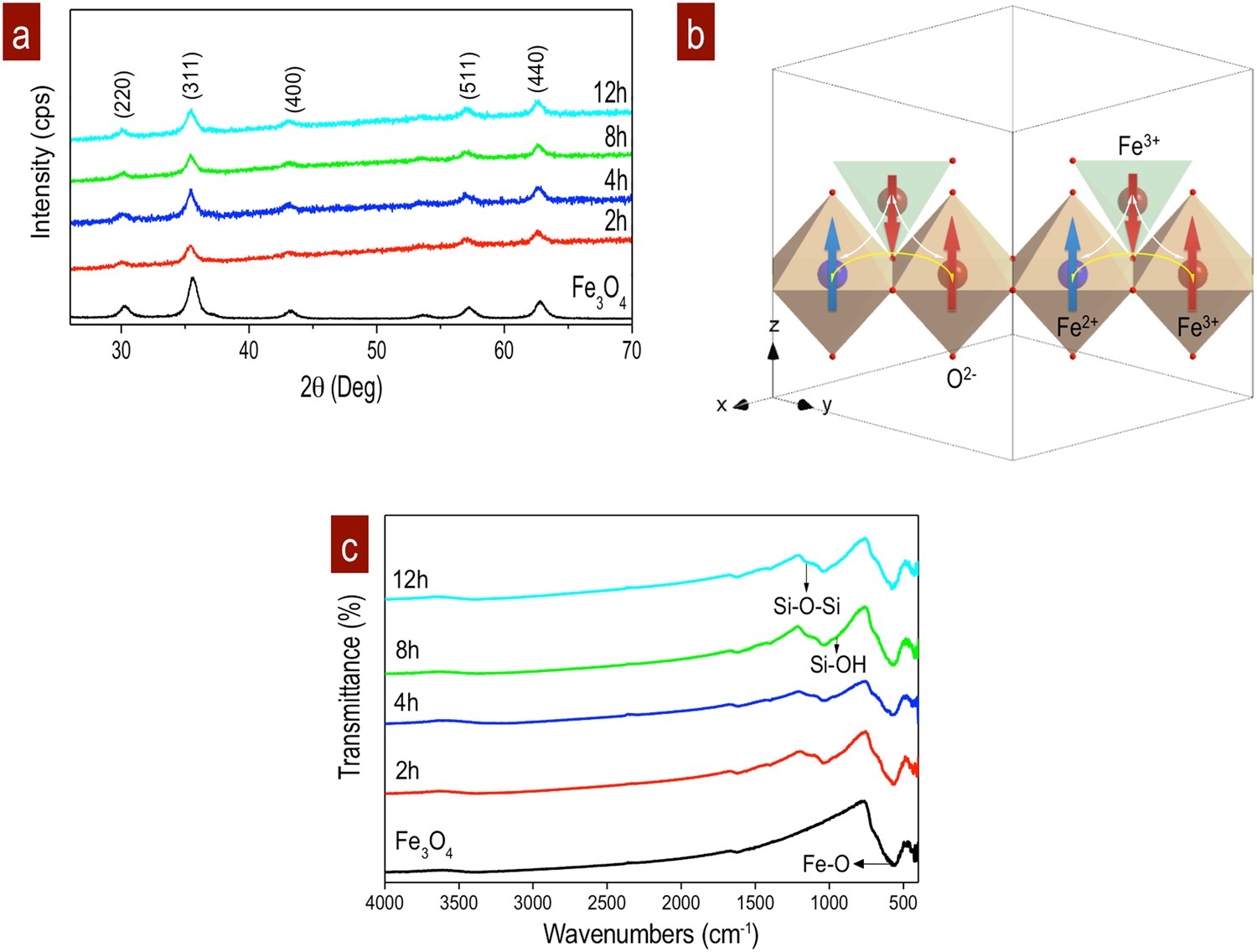 Magnetic domain interactions of Fe3O4 nanoparticles embedded in a SiO2  matrix | Scientific Reports