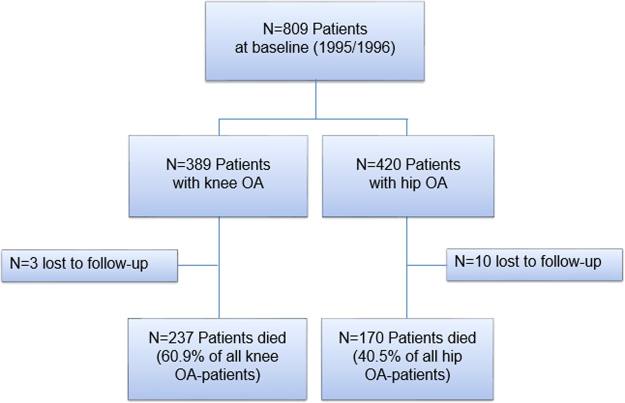 Pathophysiology Of Osteoarthritis In Flow Chart