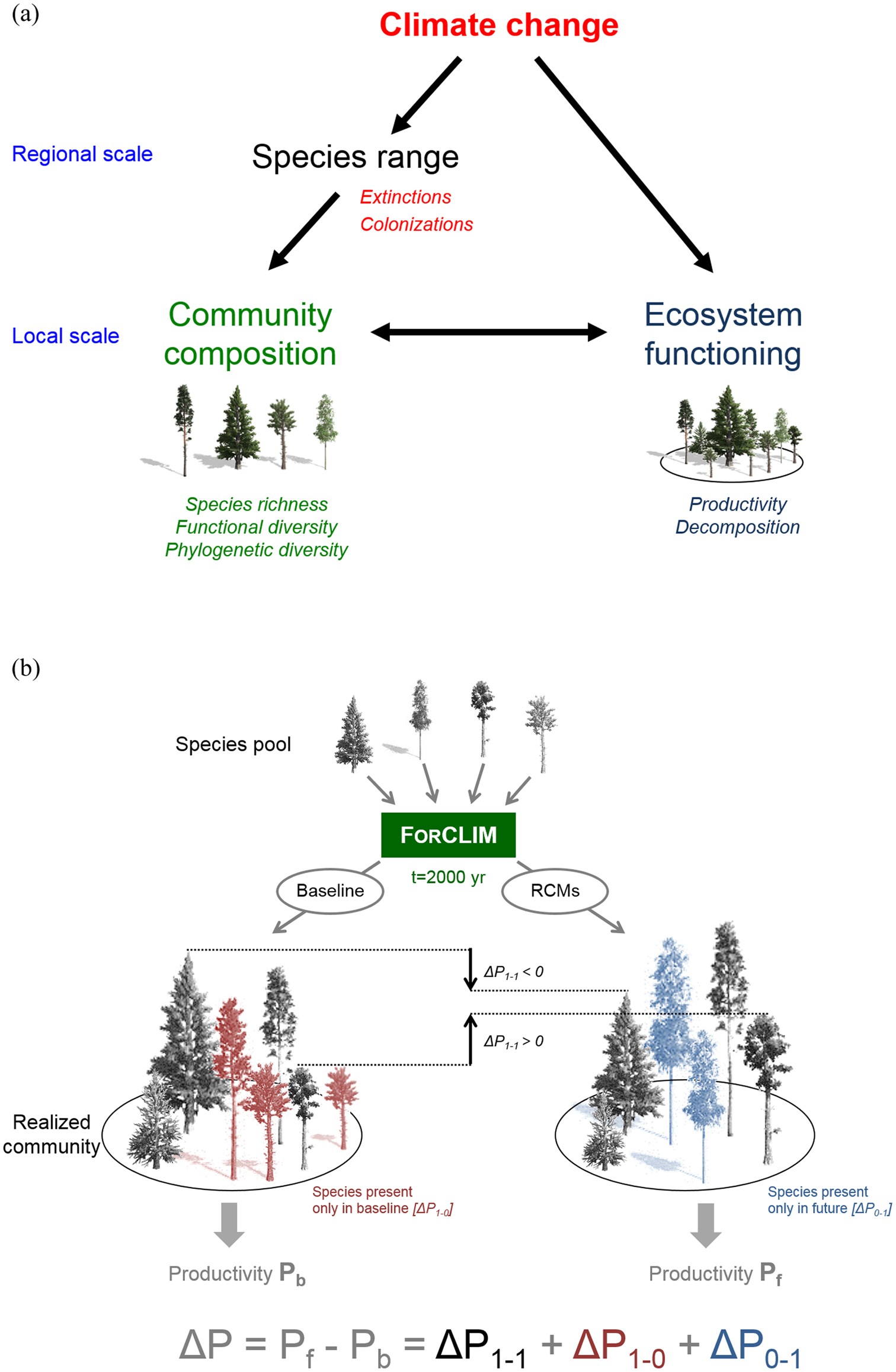 The effects of climate and forest cover variability on the