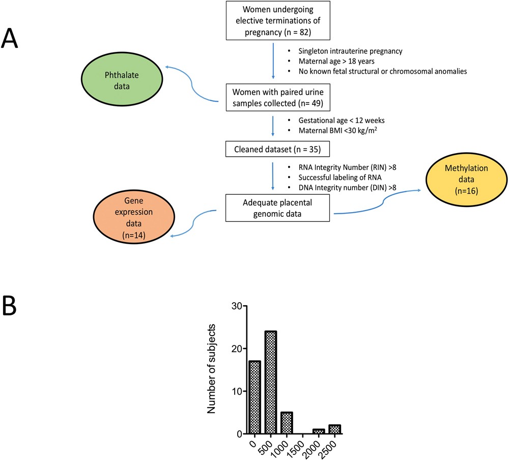 Exposure to Phthalate, an Endocrine Disrupting Chemical, Alters the First  Trimester Placental Methylome and Transcriptome in Women | Scientific  Reports