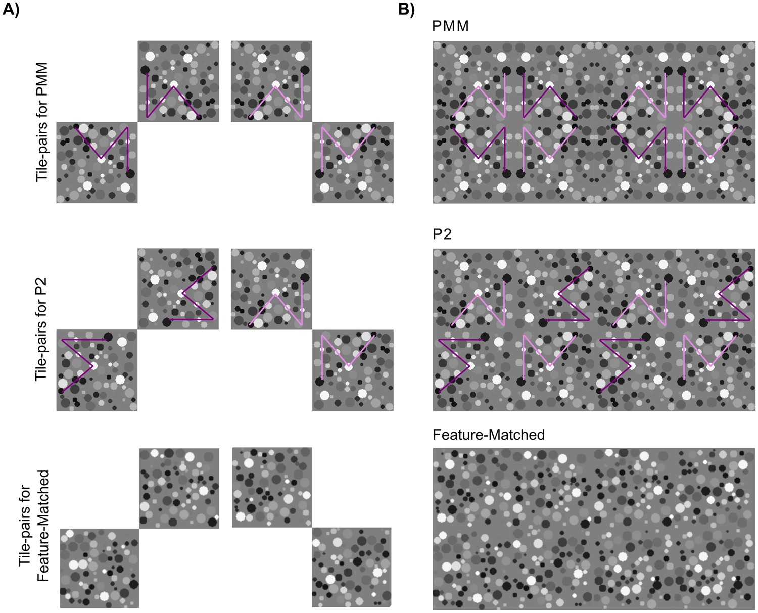 Measuring Integration Processes In Visual Symmetry With Frequency Measuring Integration Processes In Visual Symmetry With Frequency Tagged Eeg Scientific Reports