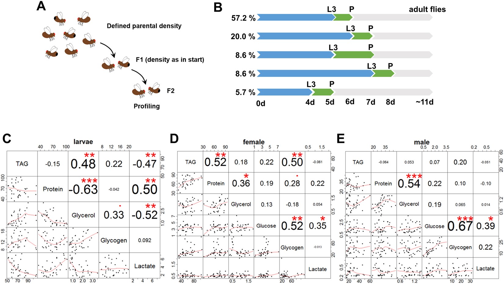 The impact of genome variation and diet on the metabolic phenotype and  microbiome composition of Drosophila melanogaster | Scientific Reports