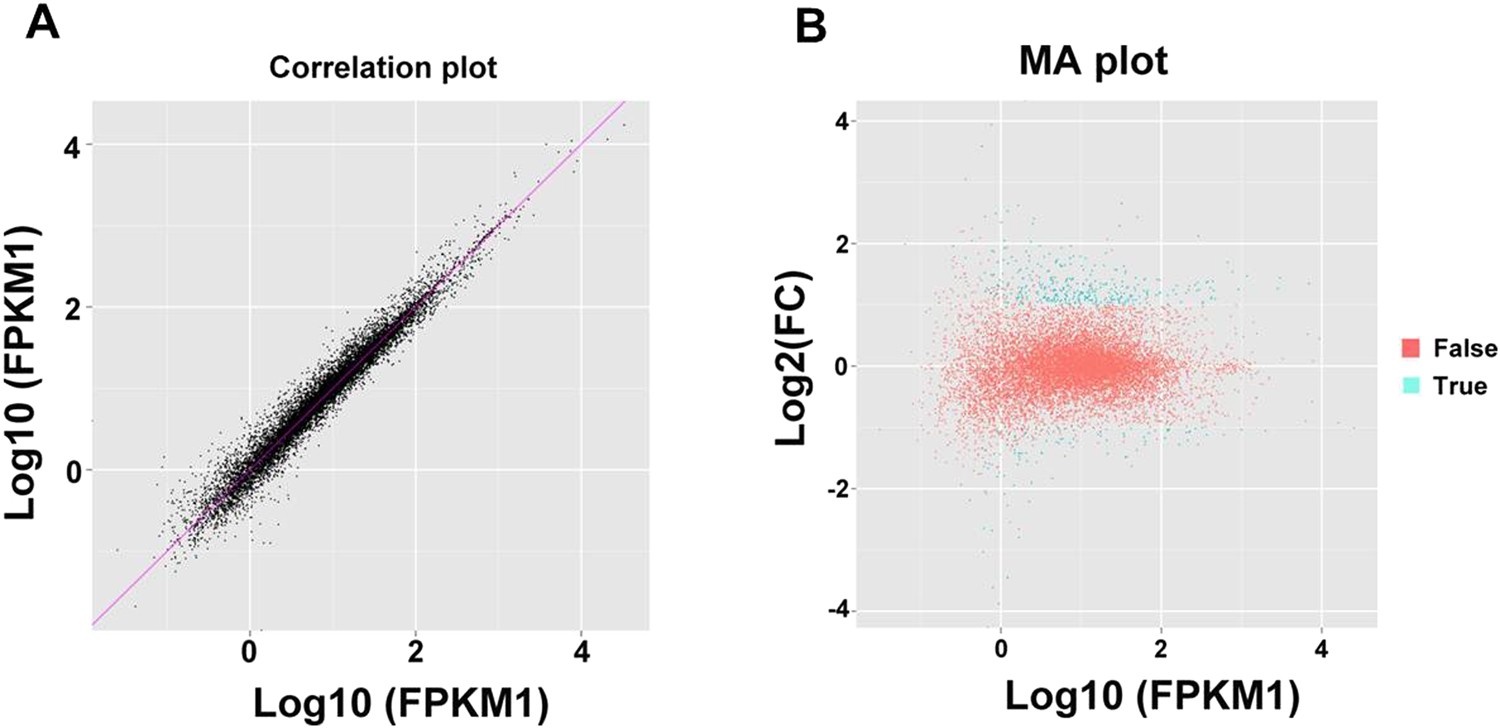 Frontiers  Splenic protection network revealed by transcriptome